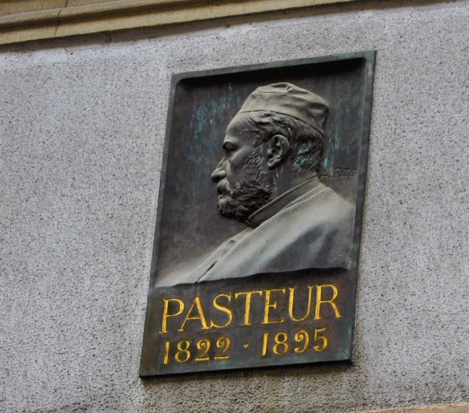 Louis Pasteur's memorial tablet, Strasbourg by Virginia Gregorio (5).jpg